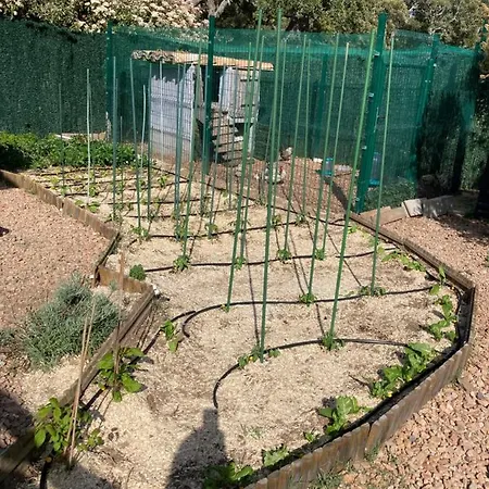 Mini-villa 2 Montagne Porto-Vecchio (Corsica)