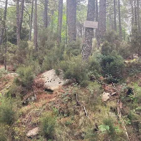 Vakantiehuis Mini-villa 2 Montagne Porto-Vecchio (Corsica)