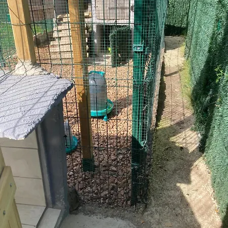 Mini-villa 2 Montagne 度假居 维琪奥港