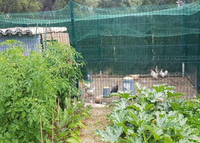 Mini-villa 2 Montagne 度假居 *