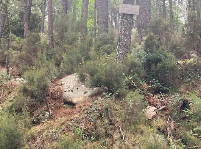 Vakantiehuis Mini-villa 2 Montagne Porto-Vecchio (Corsica)