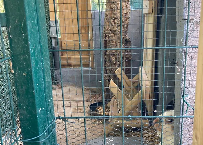 Mini-villa 2 Montagne 维琪奥港